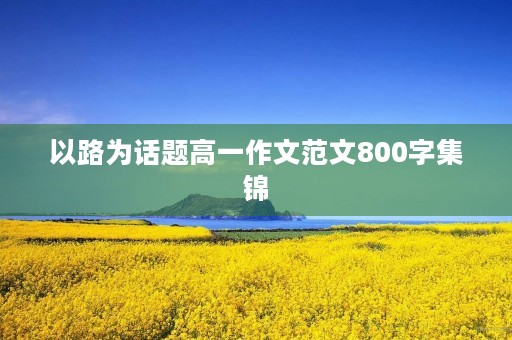 以路为话题高一作文范文800字集锦 以路为话题高一作文范文800字集锦