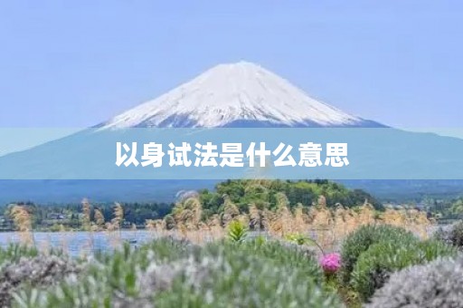 以身试法是什么意思 以身试法是什么意思