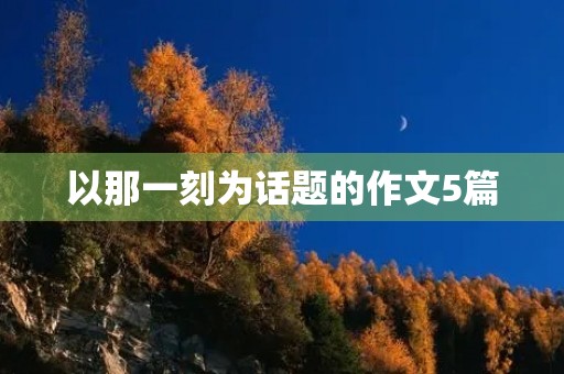 以那一刻为话题的作文5篇
