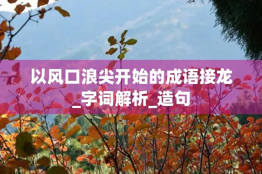 以风口浪尖开始的成语接龙_字词解析_造句