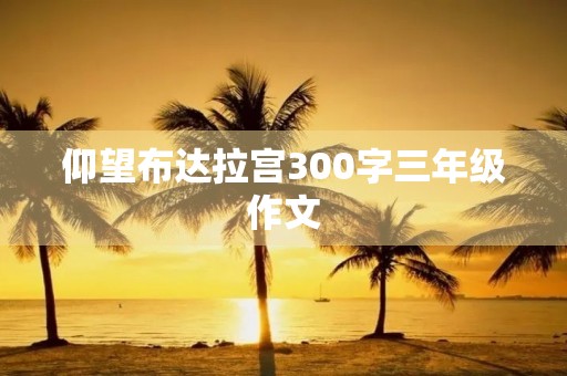 仰望布达拉宫300字三年级作文