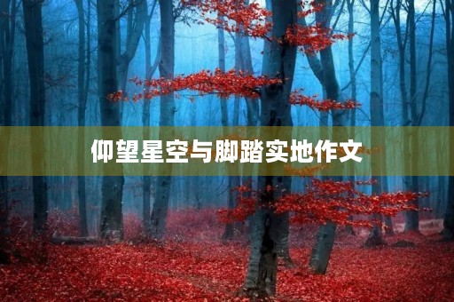 仰望星空与脚踏实地作文