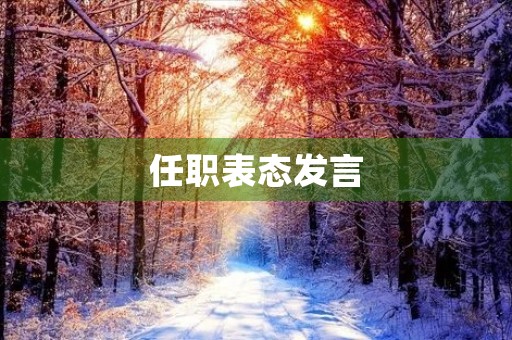 任职表态发言