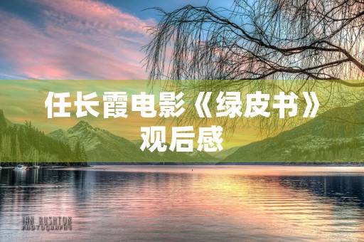 任长霞电影《绿皮书》观后感 任长霞电影《绿皮书》观后感