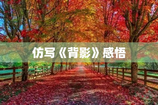 仿写《背影》感悟