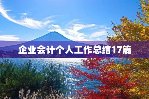 企业会计个人工作总结17篇