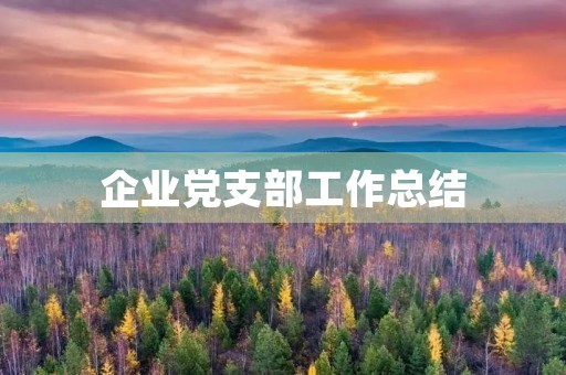 企业党支部工作总结(党支部汇报工作总结)