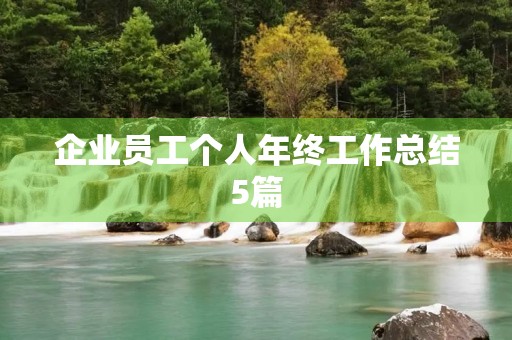企业员工个人年终工作总结5篇