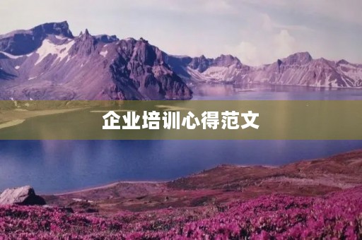 企业培训心得范文