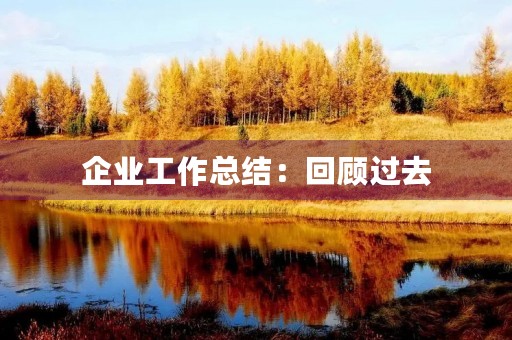 企业工作总结：回顾过去，展望未来