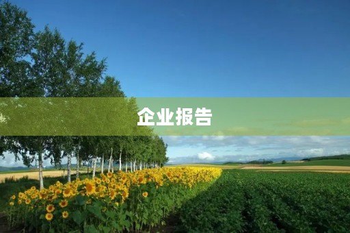 企业报告(调查一家企业的调查报告)