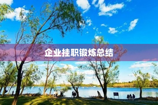 企业挂职锻炼总结
