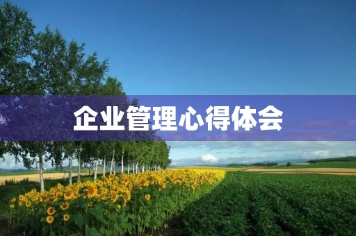 企业管理心得体会