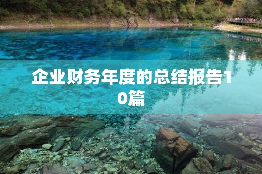 企业财务年度的总结报告10篇