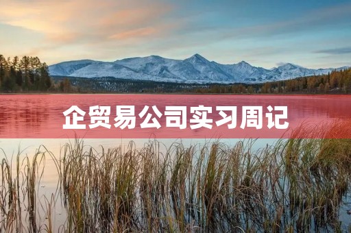 企贸易公司实习周记