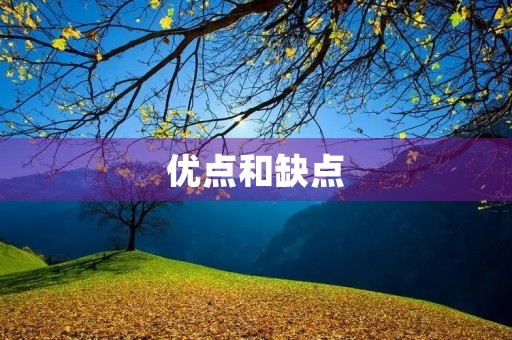 优点和缺点 优点和缺点
