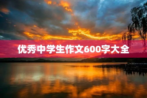 优秀中学生作文600字大全