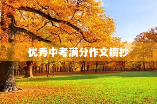 优秀中考满分作文摘抄 优秀中考满分作文摘抄