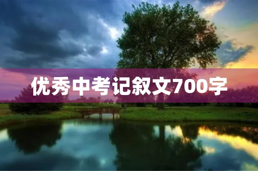 优秀中考记叙文700字