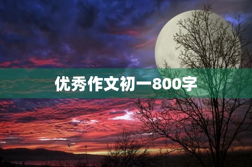 优秀作文初一800字