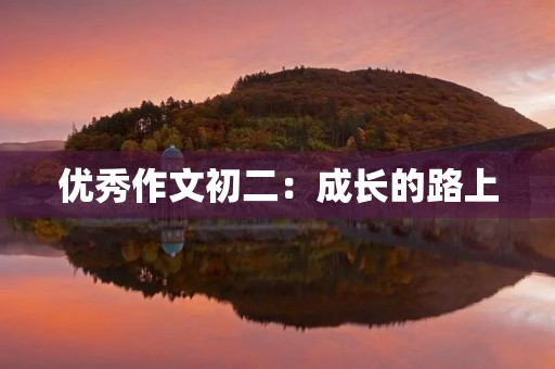 优秀作文初二:成长的路上 优秀作文初二:成长的路上