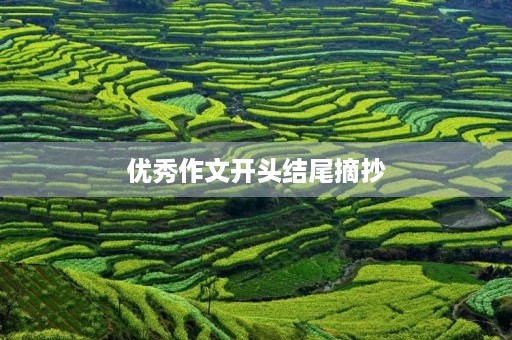 优秀作文开头结尾摘抄