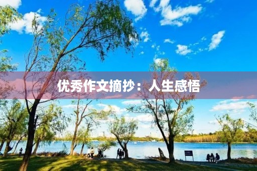 优秀作文摘抄：人生感悟