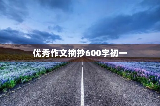 优秀作文摘抄600字初一