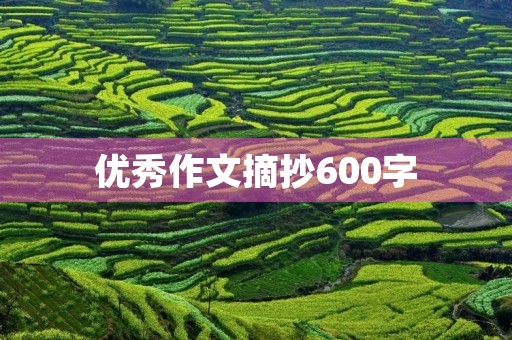 优秀作文摘抄600字 优秀作文摘抄600字