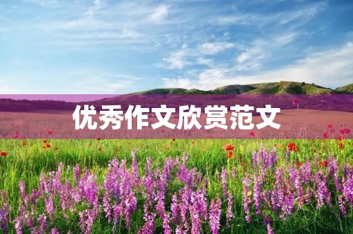 优秀作文欣赏范文