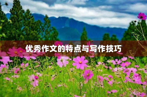 优秀作文的特点与写作技巧