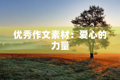 优秀作文素材：爱心的力量