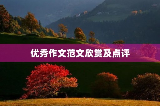 优秀作文范文欣赏及点评