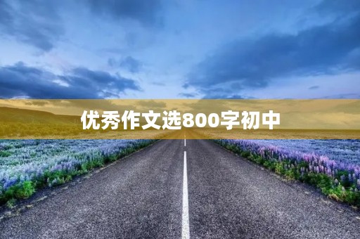 优秀作文选800字初中
