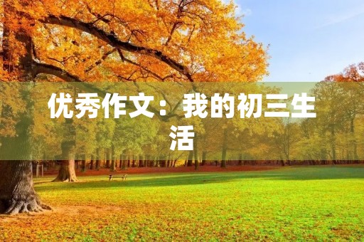 优秀作文：我的初三生活