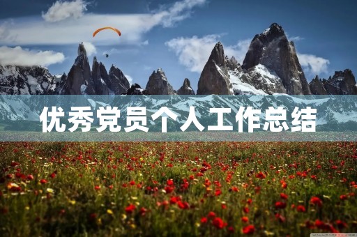 优秀党员个人工作总结