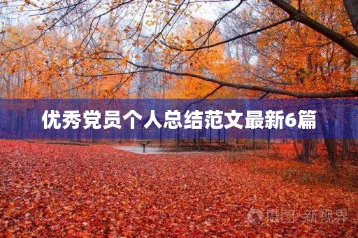 优秀党员个人总结范文最新6篇