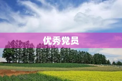 优秀党员，十大感动中国优秀党员