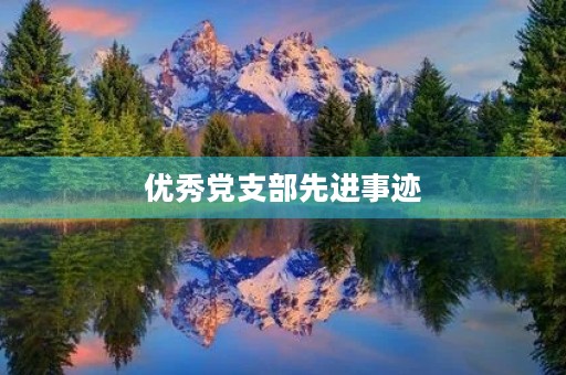 优秀党支部先进事迹