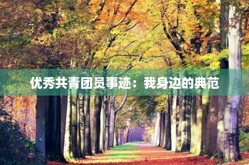 优秀共青团员事迹:我身边的典范 优秀共青团员事迹:我身边的典范