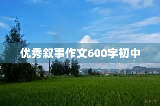 优秀叙事作文600字初中 优秀叙事作文600字初中