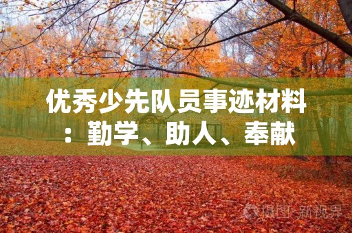 优秀少先队员事迹材料：勤学、助人、奉献