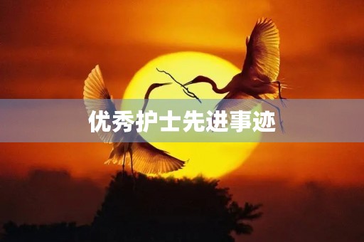 优秀护士先进事迹