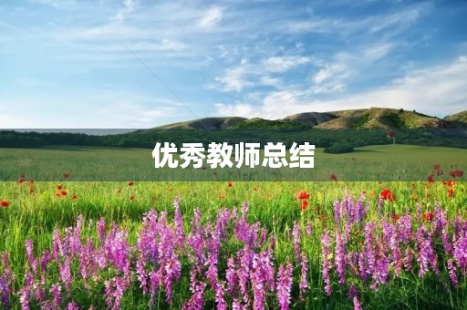 优秀教师总结 优秀教师总结