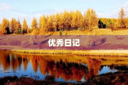 优秀日记