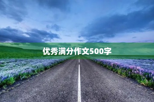 优秀满分作文500字