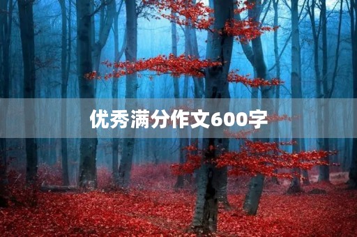 优秀满分作文600字 优秀满分作文600字