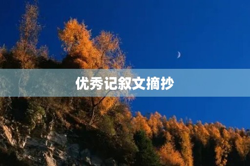 优秀记叙文摘抄 优秀记叙文摘抄