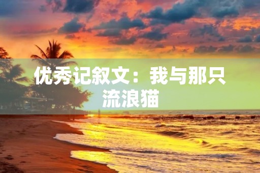 优秀记叙文:我与那只流浪猫 优秀记叙文:我与那只流浪猫