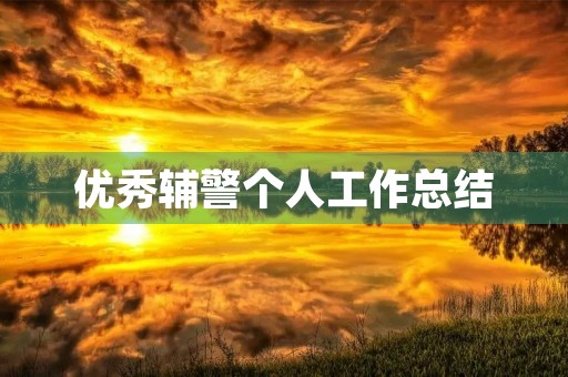 优秀辅警个人工作总结